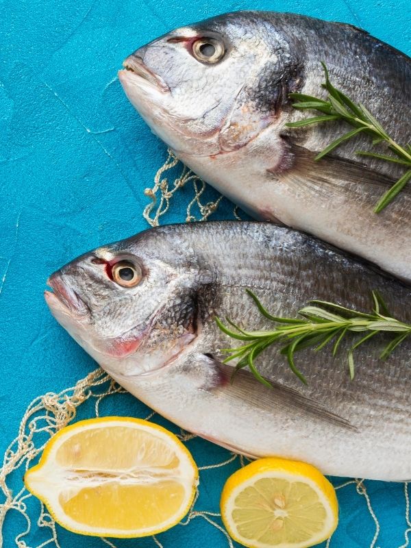 peixaria-jardel-peixes-frescos-lisboa-13